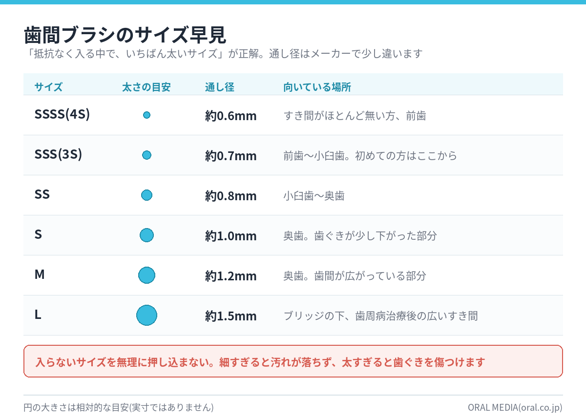 歯間ブラシのサイズ(SSSS〜L)と通し径・向いている場所の早見図