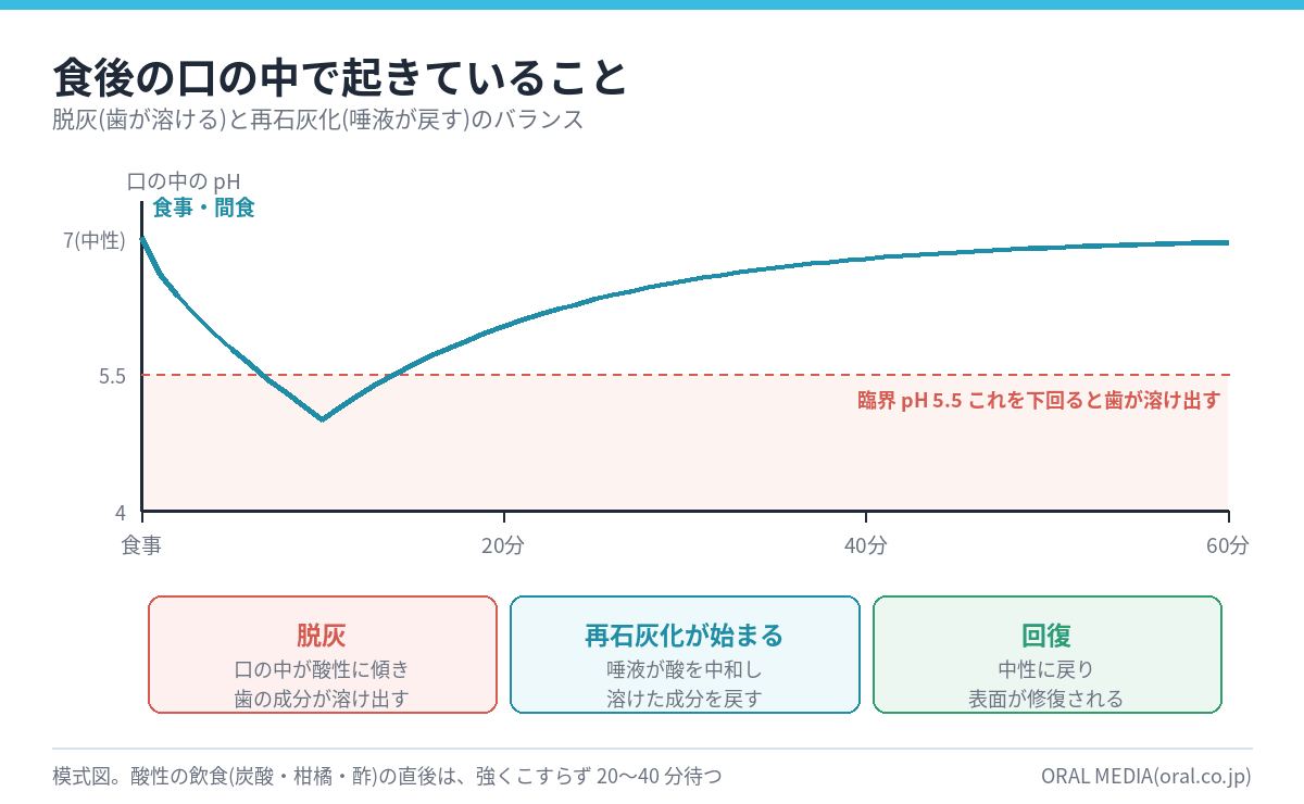 食後の口の中の pH 変化と脱灰・再石灰化のタイムライン図