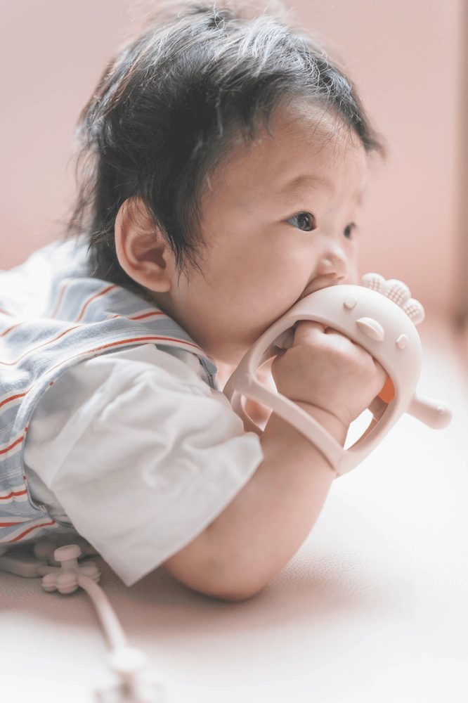 かみかみチキンを手首にはめてかむ赤ちゃん